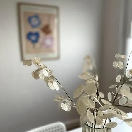 Zentral Wohnen In Ruhiger Lage! Ma2r Appartement Essen