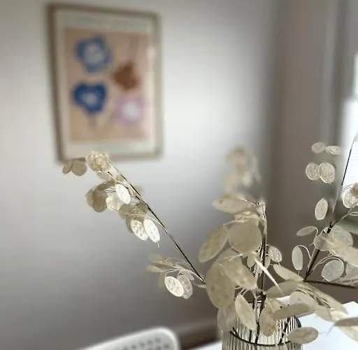 Zentral Wohnen In Ruhiger Lage! Ma2r Apartment Essen