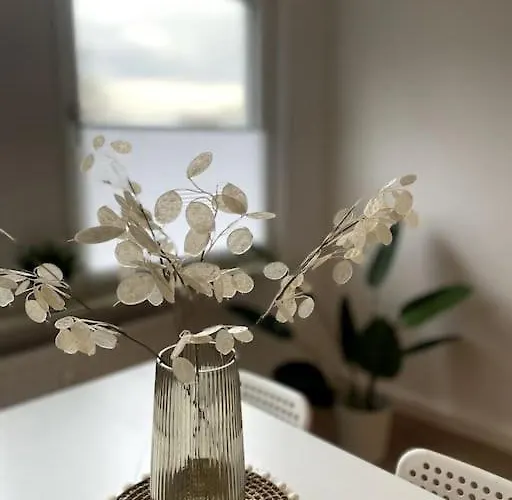 Apartment Zentral Wohnen In Ruhiger Lage! Ma2r Essen